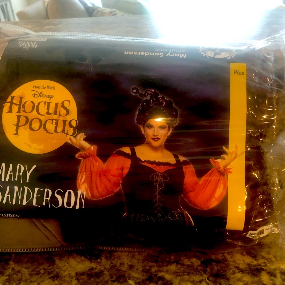 Halloween costume Mary Sanderson complete costume including wig.